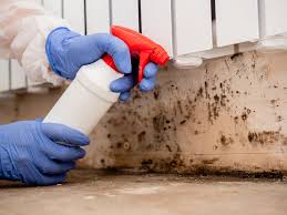 Reliable Lloyd Harbor, NY Mold Removal Services Solutions